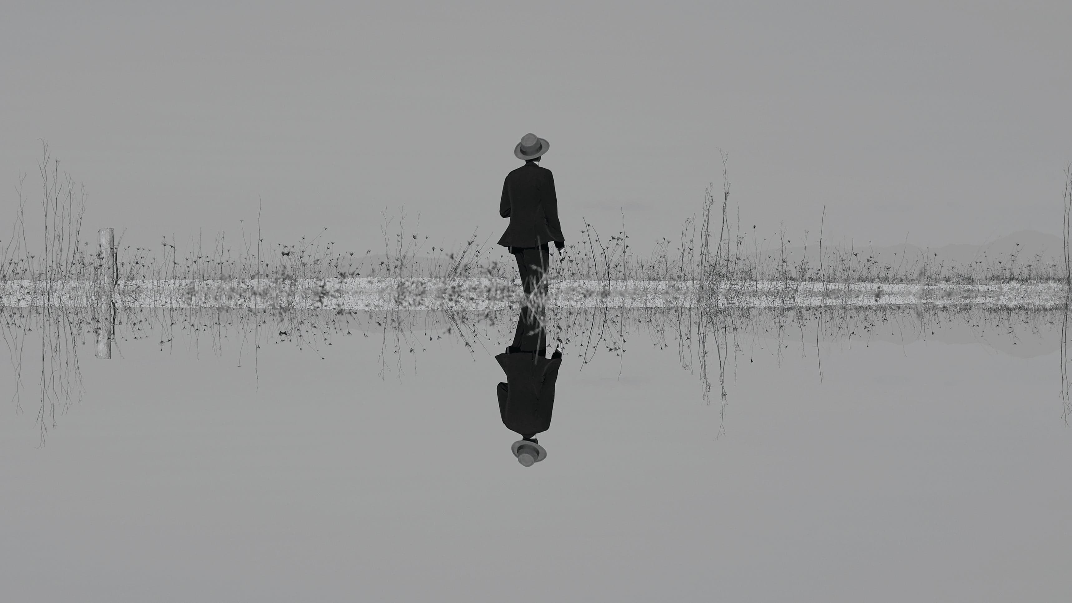 The Veils: Fragile World Australia 2026