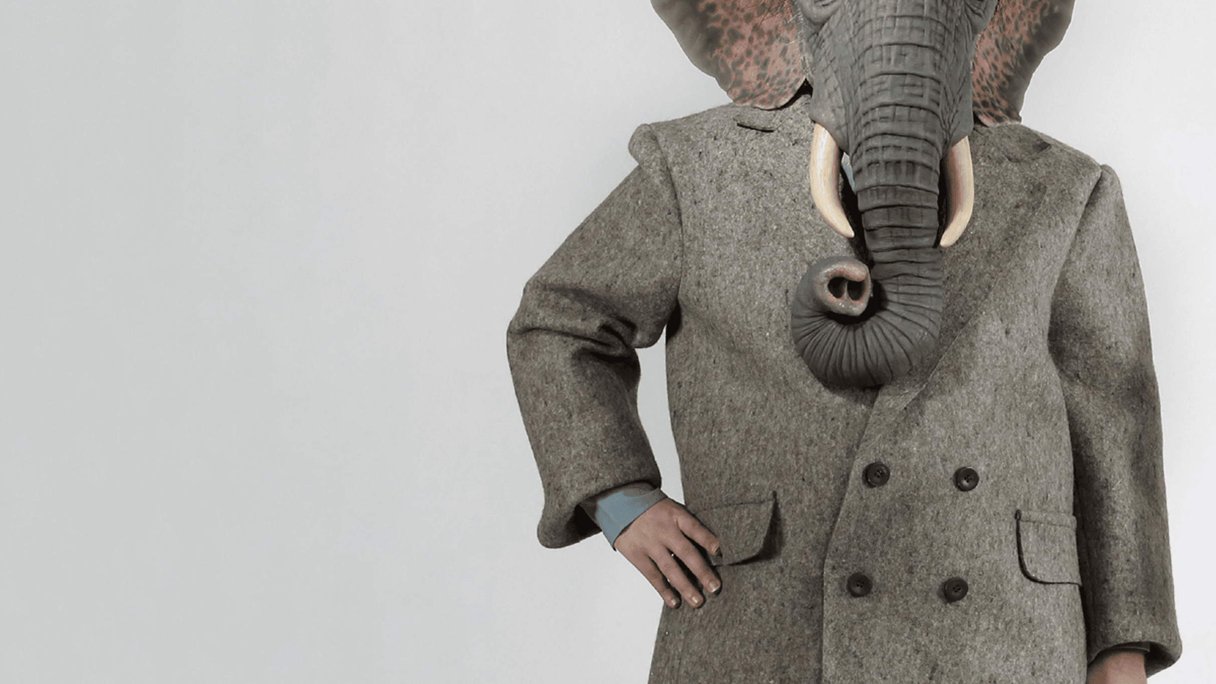 Ganesh Versus the Third Reich
